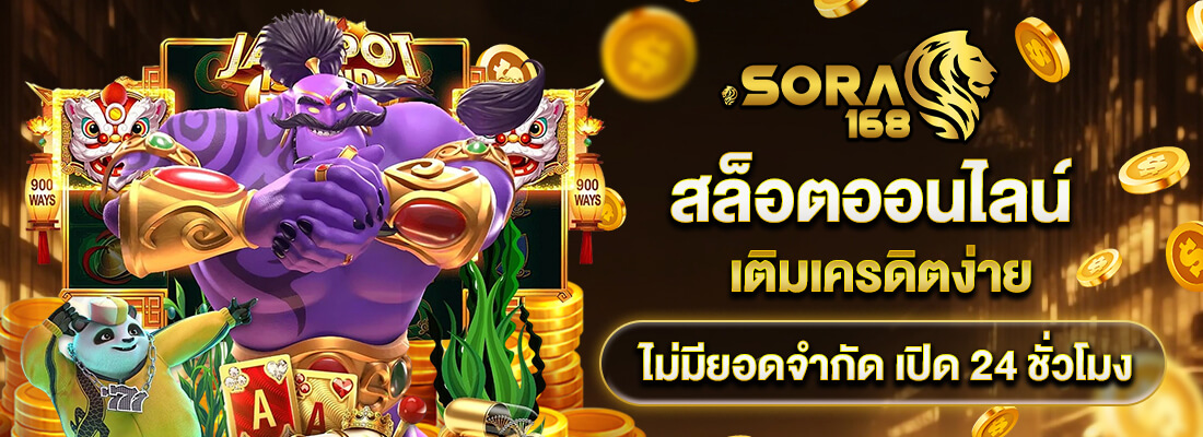 sora win
